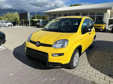 Used FIAT PANDA Hybrid 2024 Ad 