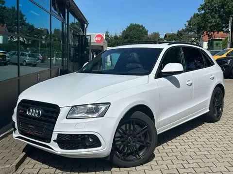 Used AUDI SQ5 Diesel 2016 Ad 