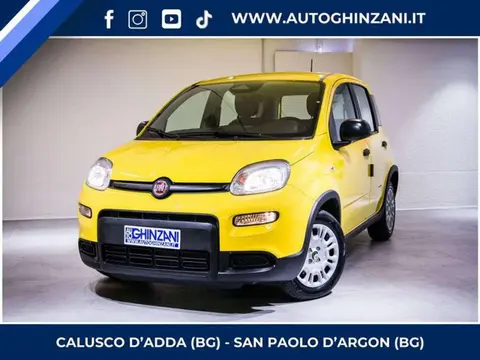 Used FIAT PANDA Hybrid 2024 Ad 