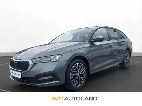 Annonce SKODA OCTAVIA Essence 2023 d'occasion 