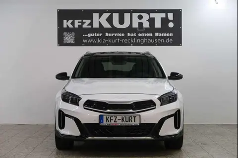 Annonce KIA XCEED Hybride 2022 d'occasion 