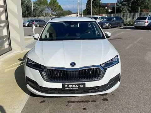 Annonce SKODA OCTAVIA Diesel 2020 d'occasion 