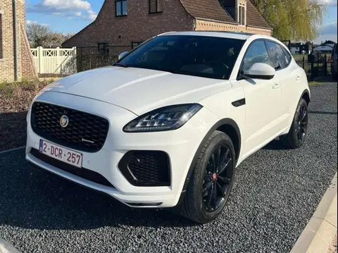 Used JAGUAR E-PACE Petrol 2021 Ad 