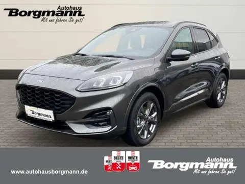 Annonce FORD KUGA Hybride 2021 d'occasion 