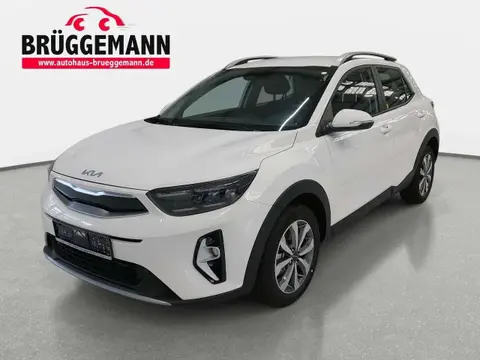 Annonce KIA STONIC Essence 2024 d'occasion 