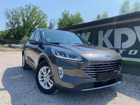 Annonce FORD KUGA Diesel 2020 d'occasion Belgique