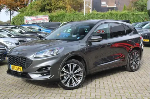 Used FORD KUGA Hybrid 2023 Ad 