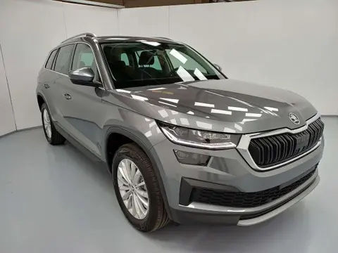 Annonce SKODA KODIAQ Essence 2024 d'occasion 