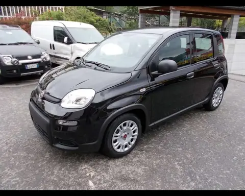 Annonce FIAT PANDA Hybride 2024 d'occasion 