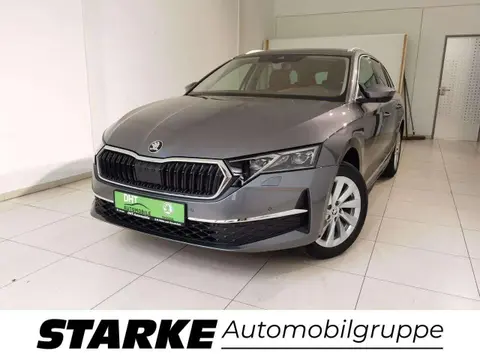 Annonce SKODA OCTAVIA Diesel 2024 d'occasion 