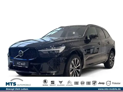 Used VOLVO XC60 Diesel 2023 Ad 