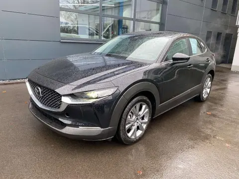 Used MAZDA CX-30 Hybrid 2024 Ad 