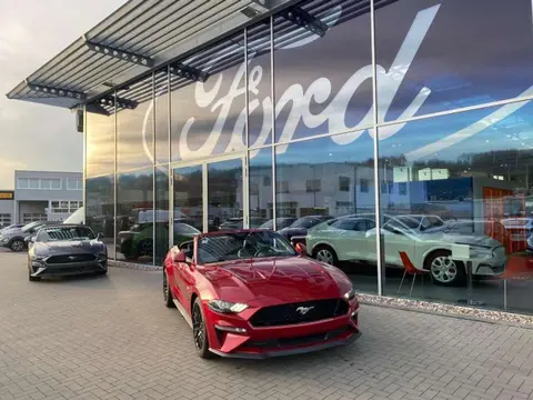 Annonce FORD MUSTANG Essence 2024 d'occasion 