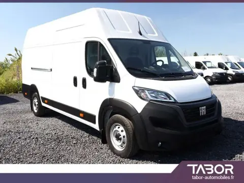 Annonce FIAT DUCATO Diesel 2024 d'occasion 