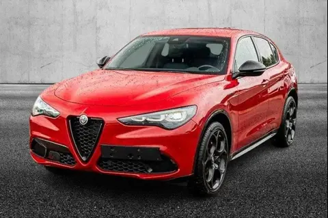 Used ALFA ROMEO STELVIO Petrol 2023 Ad 