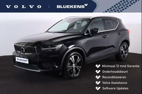 Annonce VOLVO XC40 Hybride 2021 d'occasion 