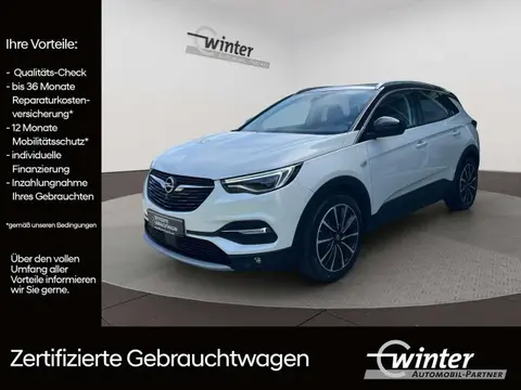 Used OPEL GRANDLAND Petrol 2021 Ad 