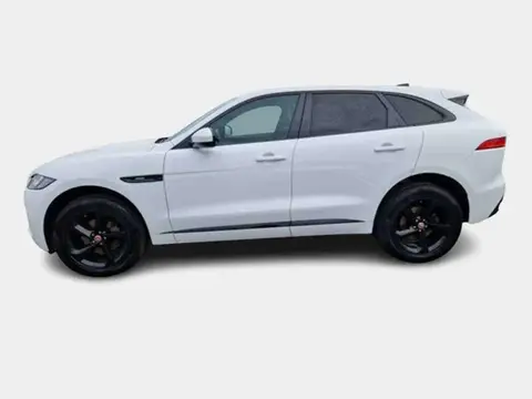 Used JAGUAR F-PACE Diesel 2020 Ad 