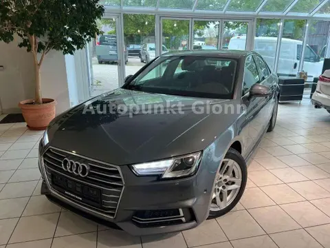 Annonce AUDI A4 Diesel 2017 d'occasion 