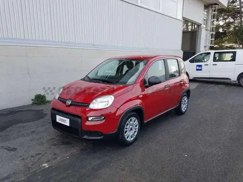 Annonce FIAT PANDA Hybride 2024 d'occasion 