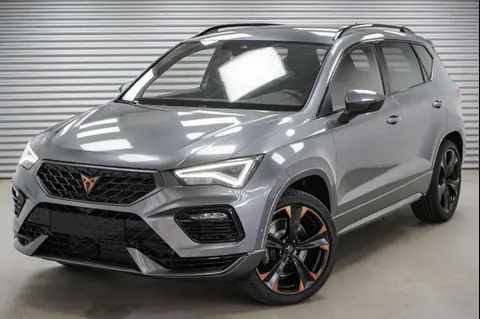 Used CUPRA ATECA Petrol 2024 Ad 