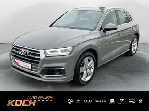 Used AUDI Q5 Hybrid 2020 Ad 