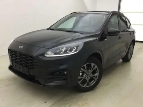 Annonce FORD KUGA Hybride 2023 d'occasion 