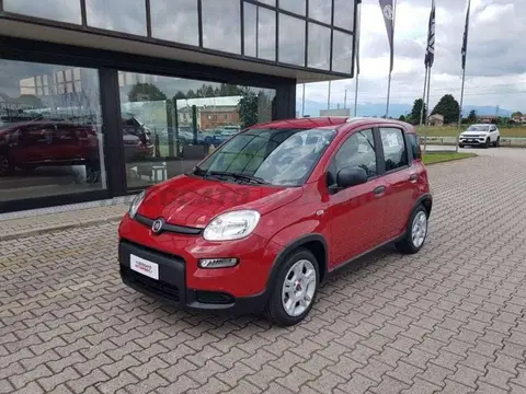 Annonce FIAT PANDA Hybride 2024 d'occasion 