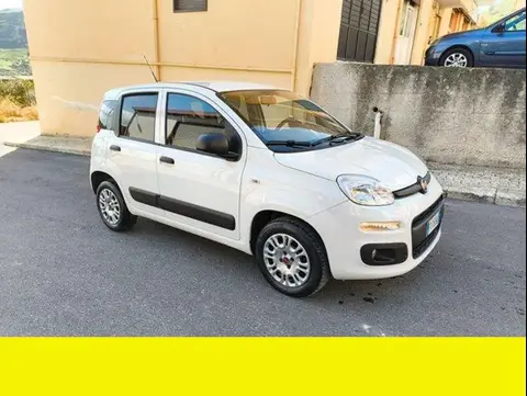 Used FIAT PANDA Petrol 2019 Ad 