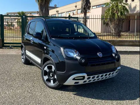 Annonce FIAT PANDA Hybride 2024 d'occasion 