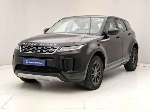 Used LAND ROVER RANGE ROVER EVOQUE  2020 Ad 