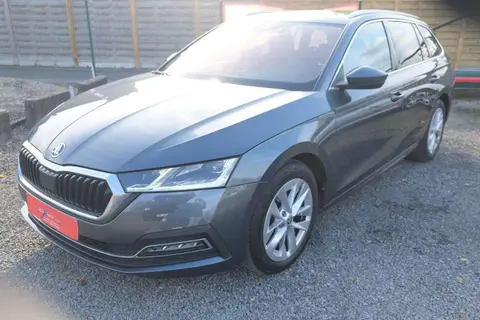 Used SKODA OCTAVIA Petrol 2020 Ad 