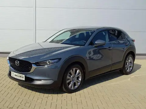 Used MAZDA CX-30 Petrol 2024 Ad 