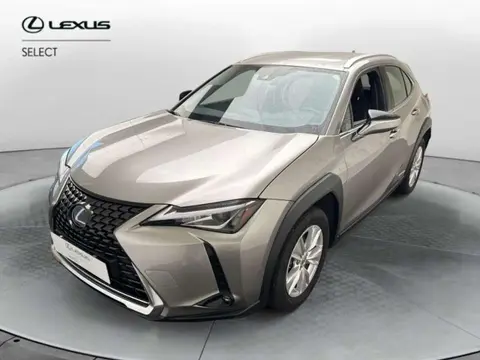 Used LEXUS UX Hybrid 2020 Ad 