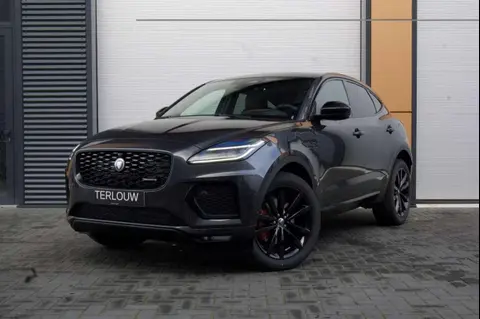 Annonce JAGUAR E-PACE Hybride 2024 d'occasion 