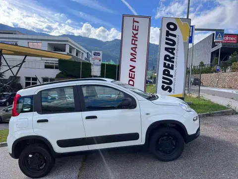 Annonce FIAT PANDA Essence 2020 d'occasion 