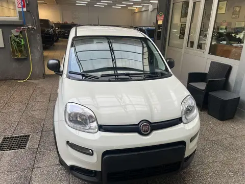 Used FIAT PANDA Hybrid 2024 Ad 