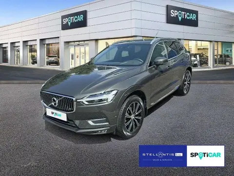 Used VOLVO XC60 Petrol 2019 Ad 