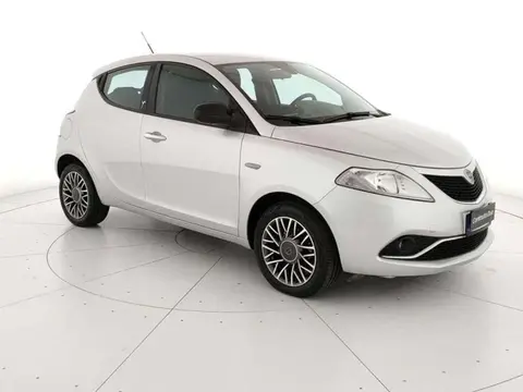 Used LANCIA YPSILON Diesel 2017 Ad 