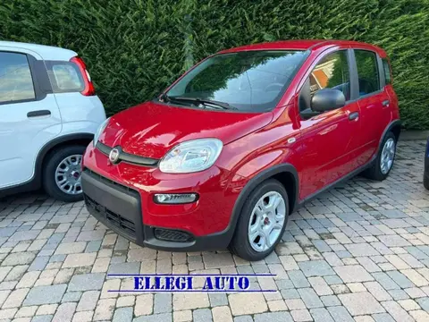 Used FIAT PANDA Hybrid 2024 Ad 