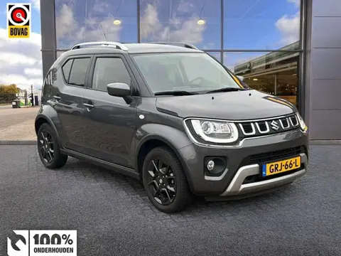 Used SUZUKI IGNIS Petrol 2021 Ad 