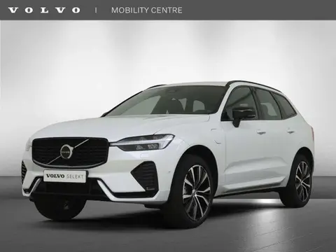 Annonce VOLVO XC60 Hybride 2023 d'occasion 