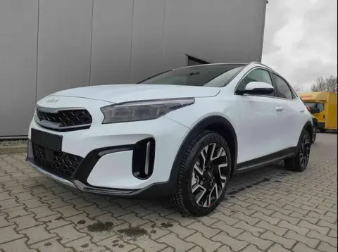 Annonce KIA XCEED Essence 2024 d'occasion 