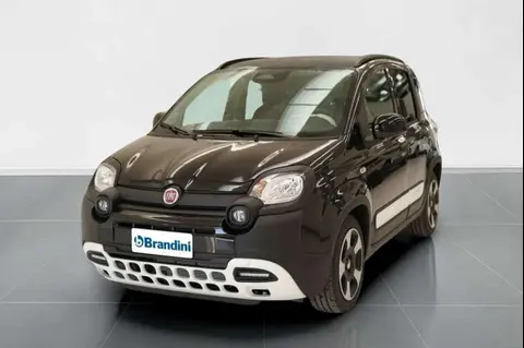 Used FIAT PANDA Hybrid 2024 Ad 