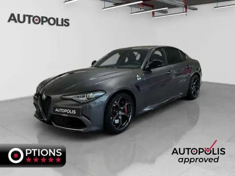 Used ALFA ROMEO GIULIA Petrol 2023 Ad 