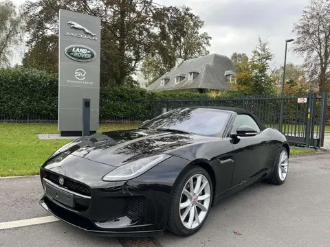 Used JAGUAR F-TYPE Petrol 2020 Ad 