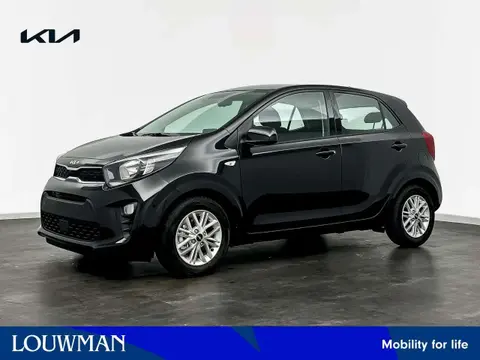 Annonce KIA PICANTO Essence 2024 d'occasion 