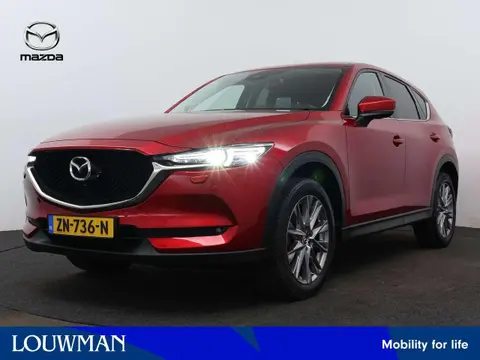 Annonce MAZDA CX-5 Essence 2019 d'occasion 