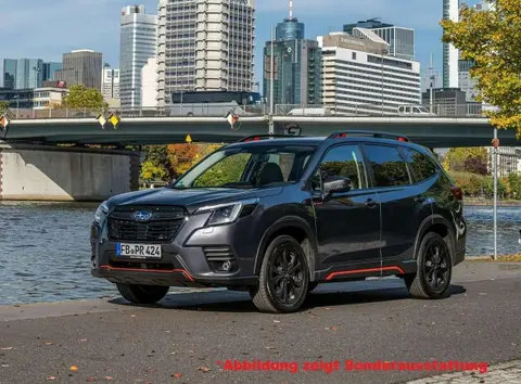 Annonce SUBARU FORESTER Essence 2024 d'occasion 