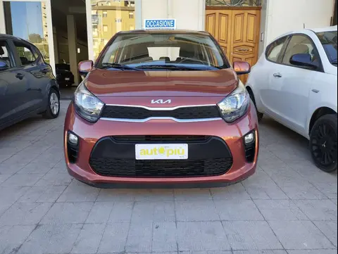 Annonce KIA PICANTO Essence 2023 d'occasion 